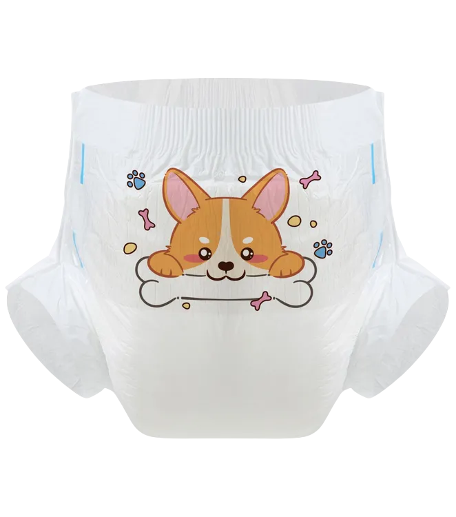 Lovely Corgi